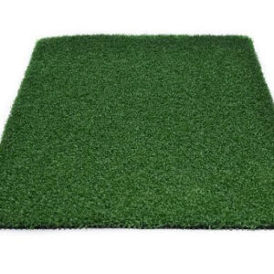 Putting green Golf Grass